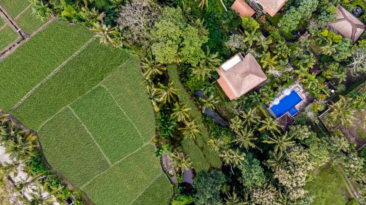Alam Shanti Ubud المظهر الخارجي الصورة